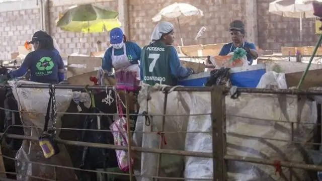 Decreto que obriga reciclagem faz setor crescer em cinco anos