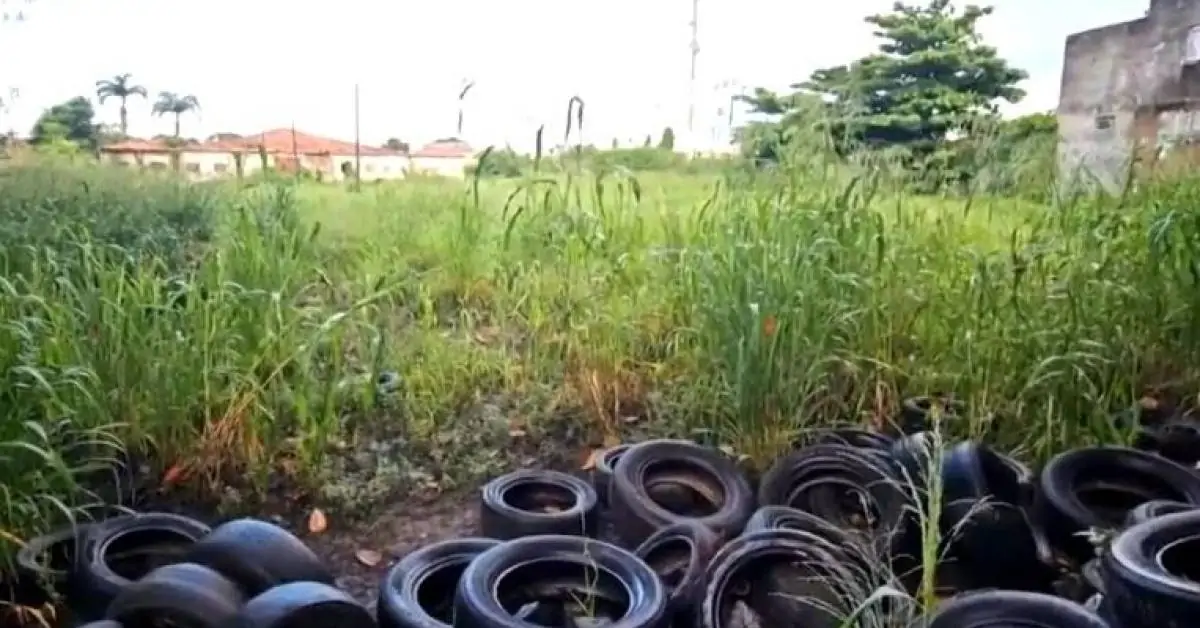 Descarte irregular de pneus preocupa no Maranhão