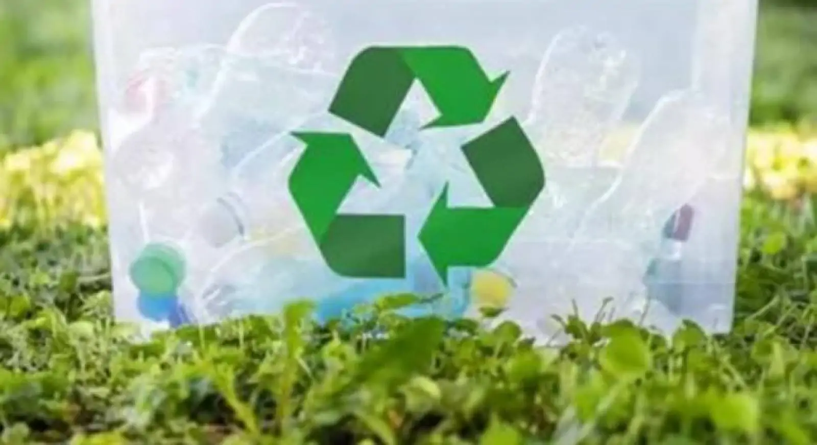 Dia Mundial da Reciclagem incentiva a destinação adequada dos resíduos sólidos