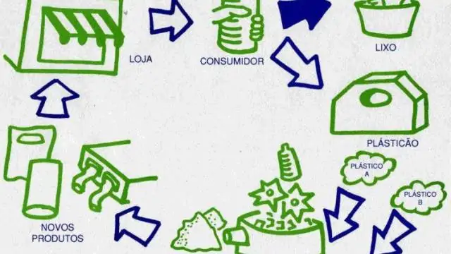 Dia Mundial do Meio Ambiente: Economia Circular é o melhor caminho