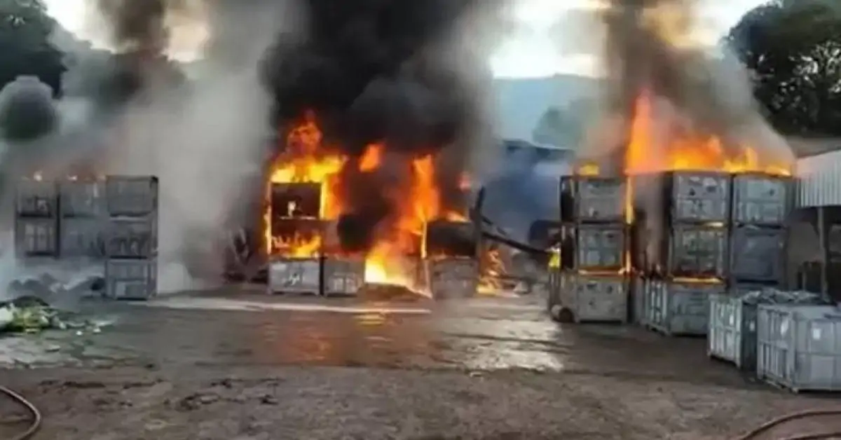 Dono de reciclagem diz que incêndio 'queimou 90% da empresa' em Ivoti