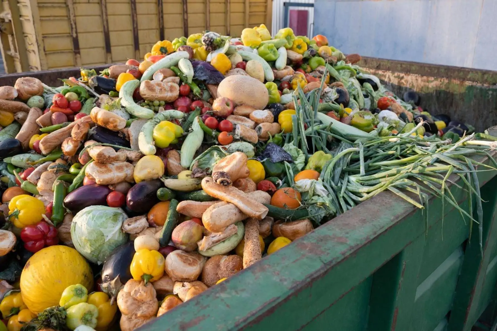 Economia circular começa na lixeira e pode render bilhões às empresas