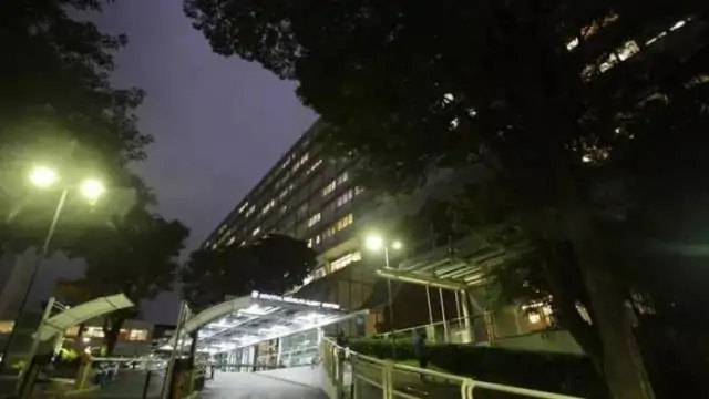 Economia circular pode gerar vários benefícios para setor da saúde; leia artigo