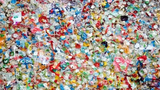 Estudo mostra problemas por trás das práticas de reciclagem nos EUA