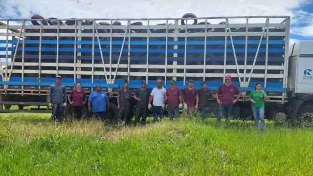 Fartura oferece ponto de descarte de pneus usados