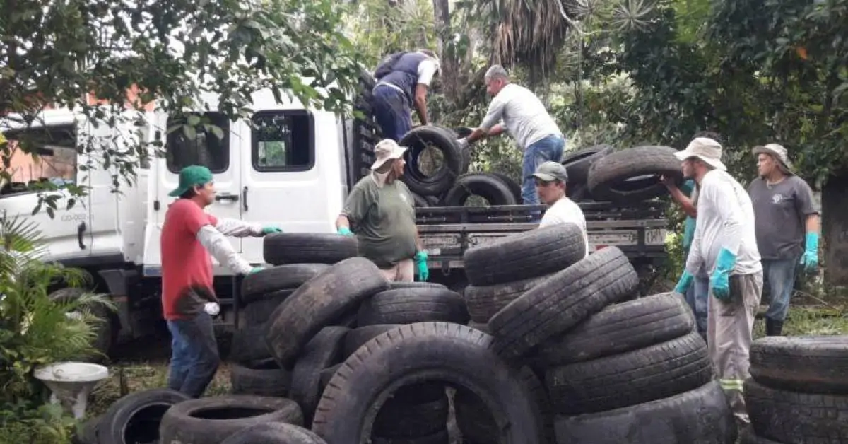 Força-tarefa retira mais 400 pneus do mangue do Perequê-Açu