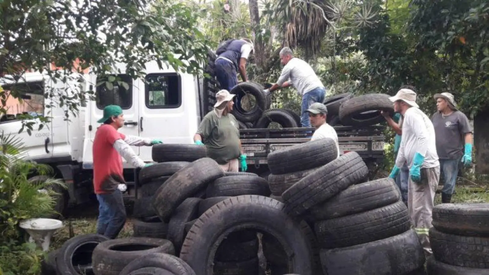 Força-tarefa retira mais 400 pneus do mangue do Perequê-Açu