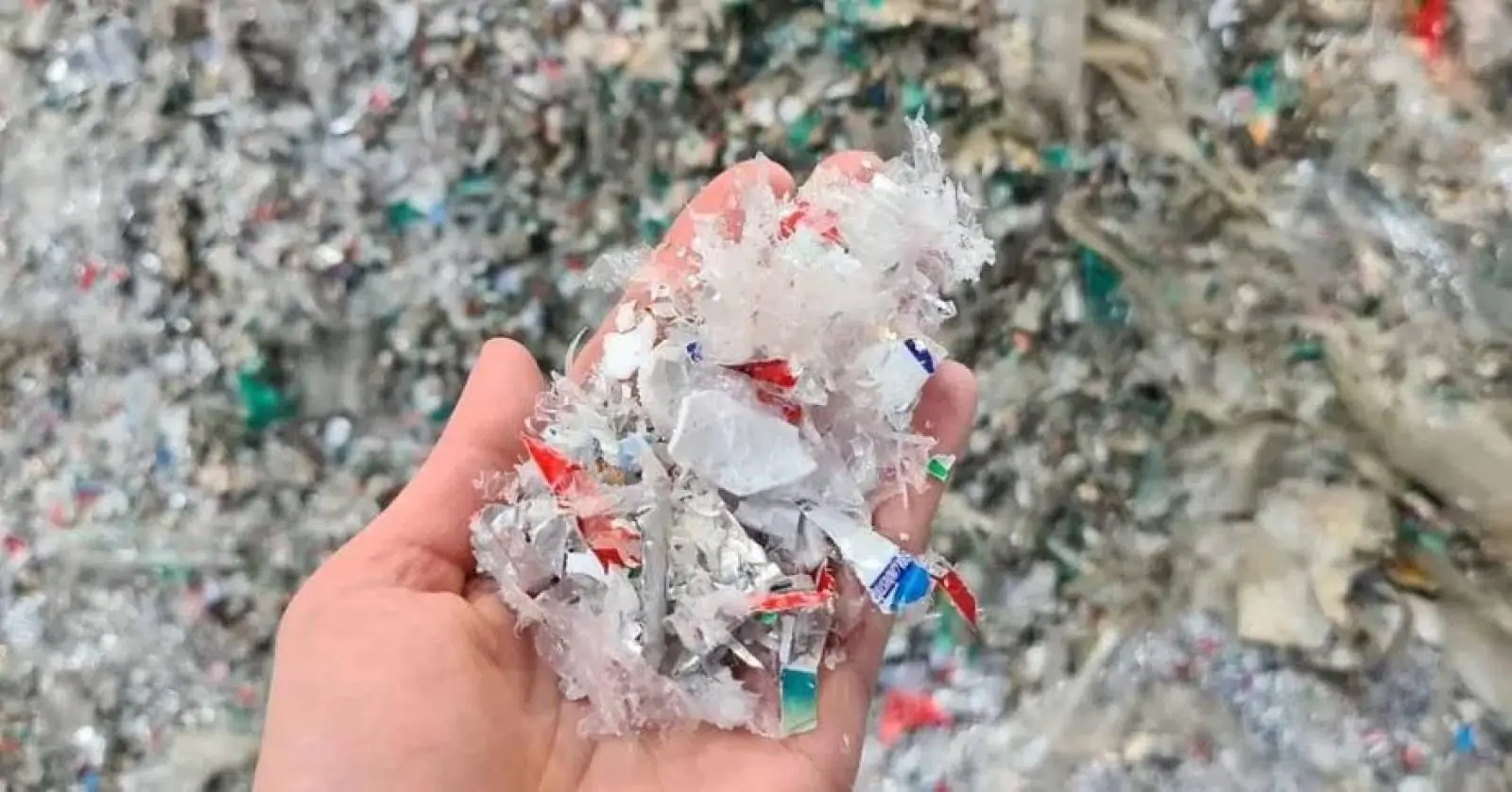 Inovação, investimento e integração são chave para sucesso no sistema de reciclagem de descartáveis