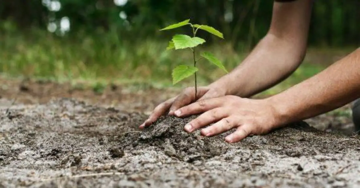 IPTU Verde e reciclagem de entulho na pauta do setor produtivo