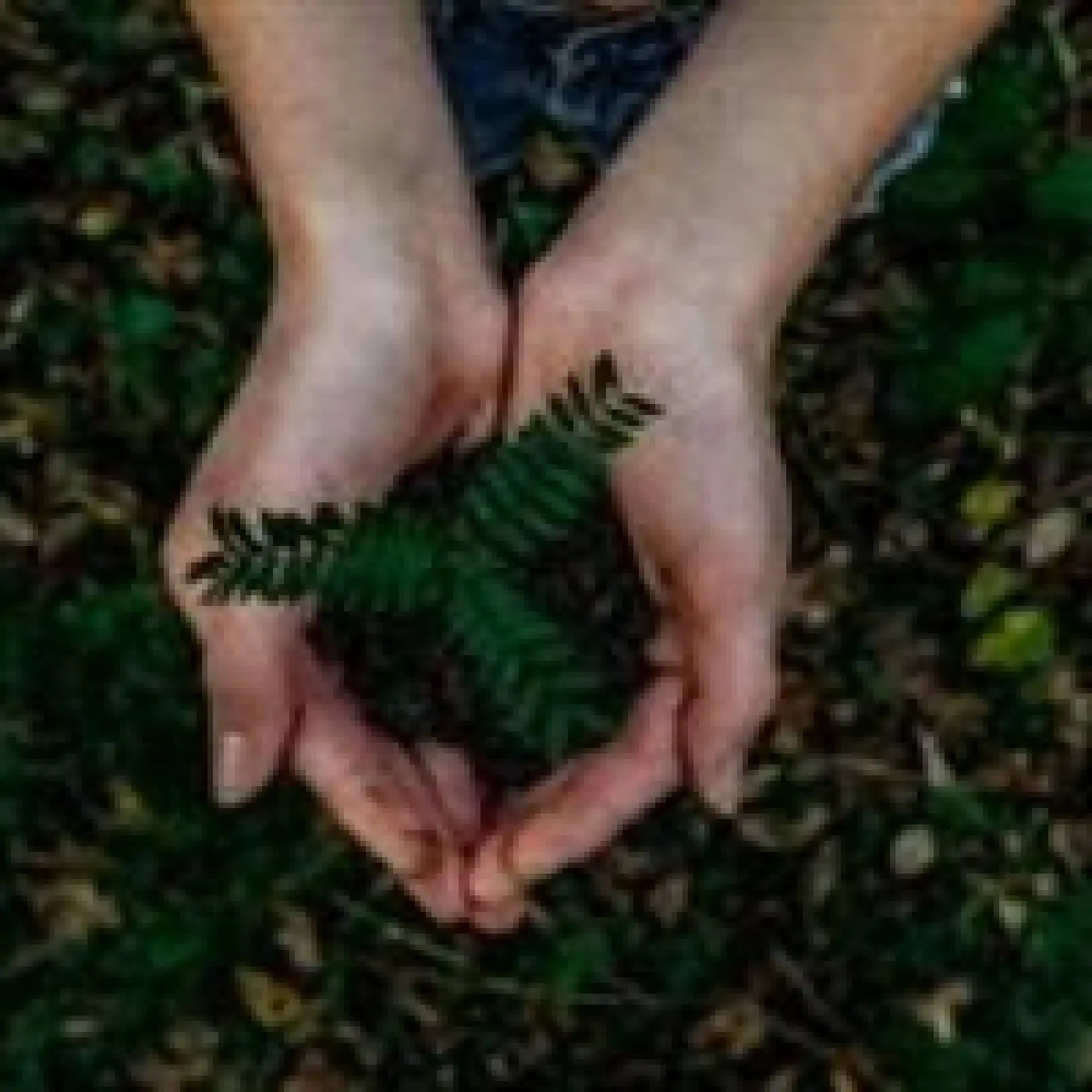 Logística reversa ajuda minimizar os impactos ambientais