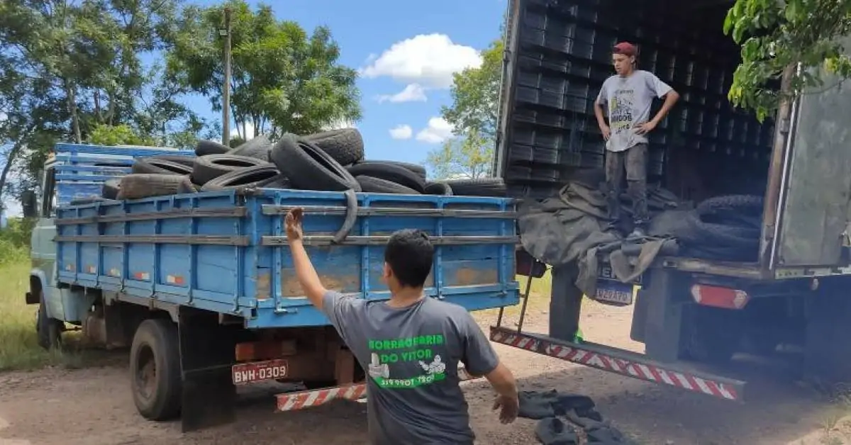 Mais de 70 toneladas de pneus foram recolhidas em quatro meses
