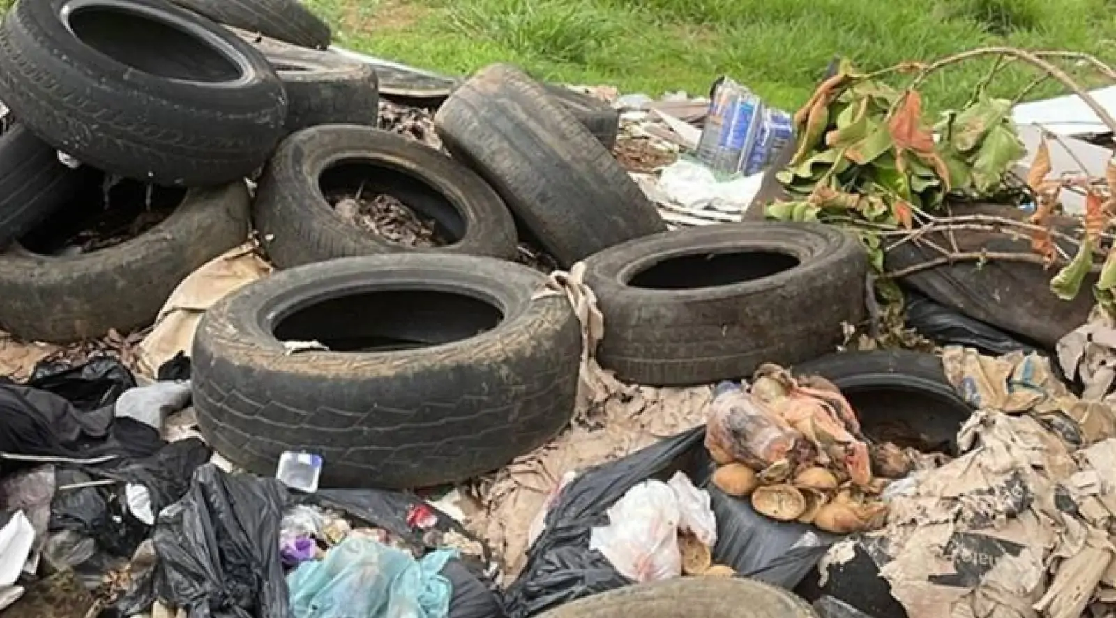 Mais de 9 mil pneus descartados irregularmente foram recolhidos em Goiânia