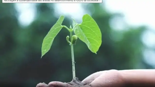 MEIO AMBIENTE Reciclagem e sustentabilidade são aliadas no desenvolvimento e futuro da sociedade