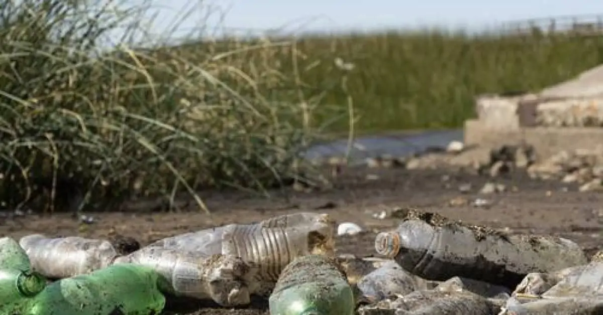 Incentivo à reciclagem pode ser saída para enfrentar desafios na gestão de resíduos sólidos