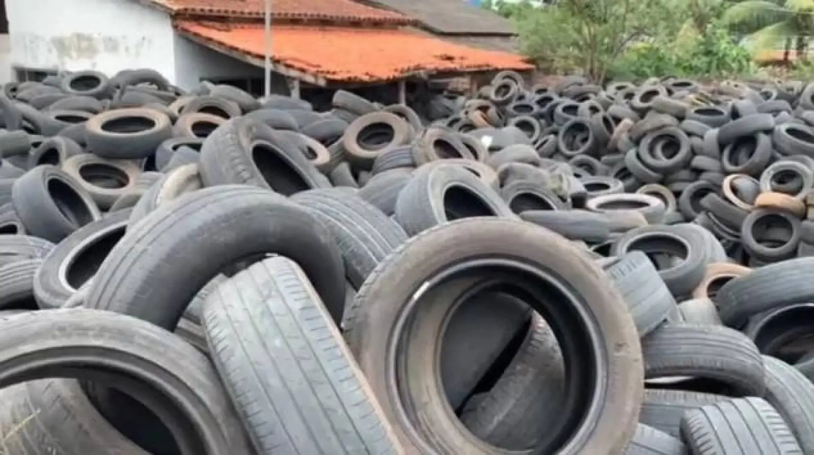 Morador denuncia lote com mais de 20 mil pneus e proliferação de mosquitos da dengue em Goiânia