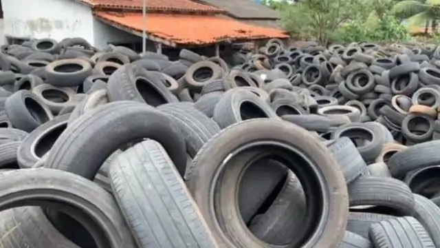 Morador denuncia lote com mais de 20 mil pneus e proliferação de mosquitos da dengue em Goiânia