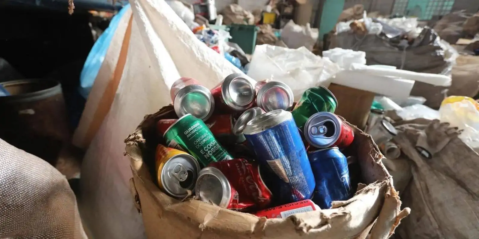 Multa para empresas irregulares em "Sistema de Reciclagem" ultrapassa R$ 20 milhões