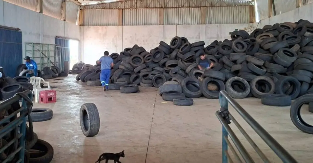 Município de Palmas ultrapassa a marca de 1.300 toneladas de pneus recolhidos em 2025