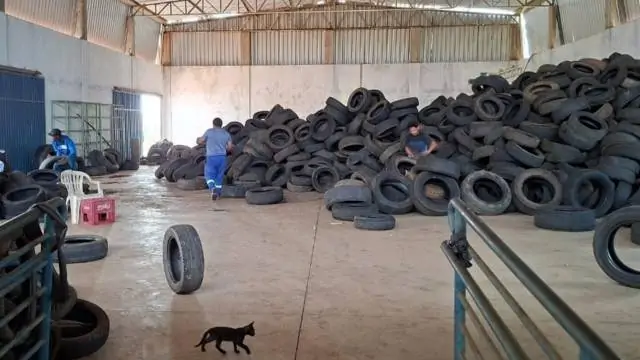 Município de Palmas ultrapassa a marca de 1.300 toneladas de pneus recolhidos em 2025