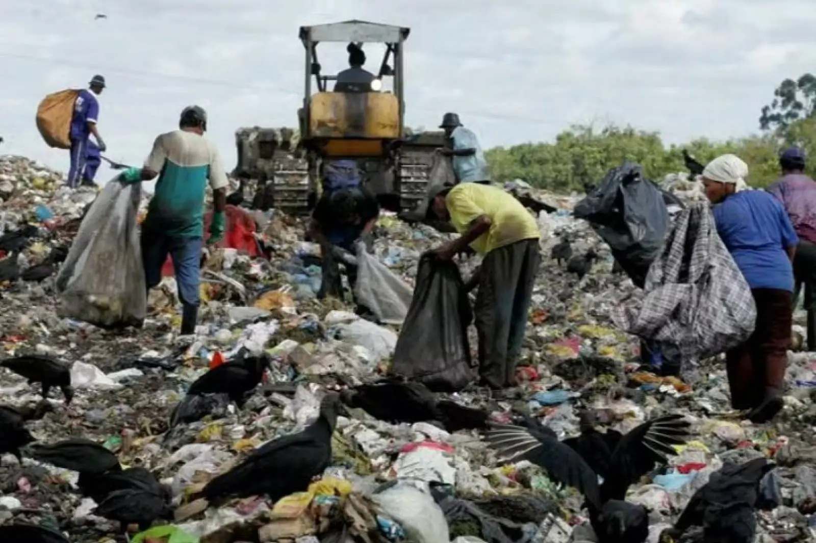 O paradoxo da reciclagem no Brasil: por que os trabalhadores que mais contribuem são os que mais sofrem?