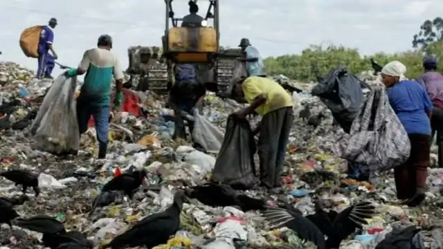 O paradoxo da reciclagem no Brasil: por que os trabalhadores que mais contribuem são os que mais sofrem?