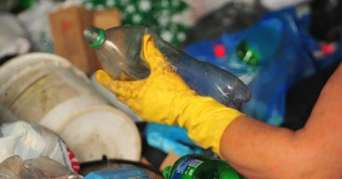 O que é considerado lixo reciclável e como fazer o descarte correto?