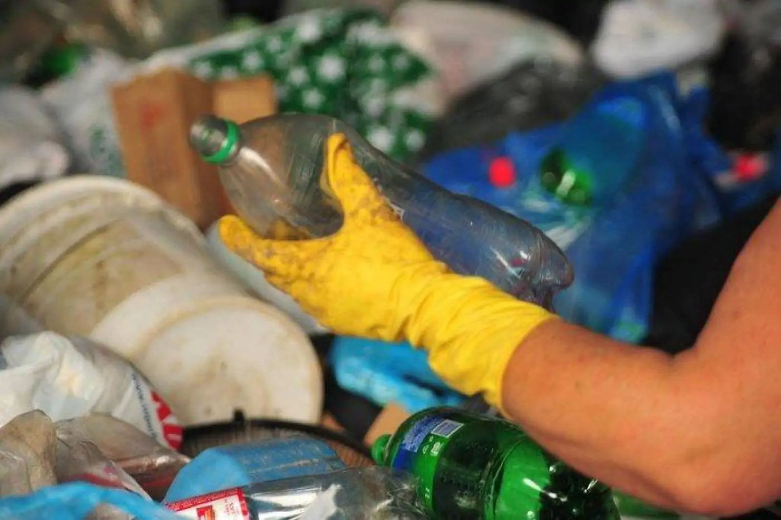 O que é considerado lixo reciclável e como fazer o descarte correto?