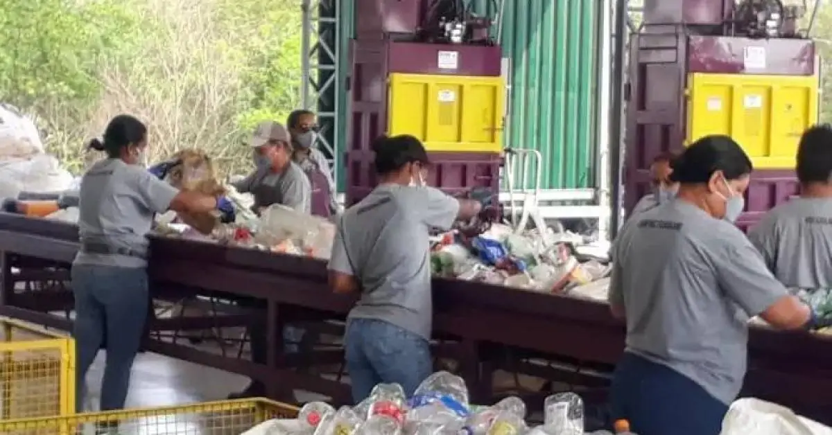 Parceria entre Consimares e Ambipar, projeto busca mais cooperativas para ampliar reciclagem