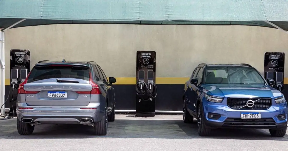 Pesquisadores vão usar bactérias para reciclar baterias de carros elétricos; entenda