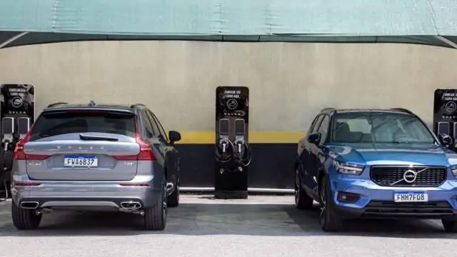 Pesquisadores vão usar bactérias para reciclar baterias de carros elétricos; entenda