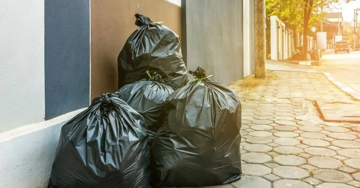 Prefeitura anuncia pacote de ações de estímulo à reciclagem em Fortaleza
