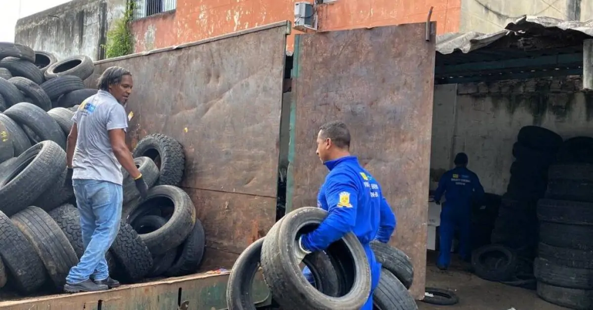 Prefeitura faz descarte correto de pneus recolhidos nas ações de combate ao Aedes aegypti em Itabuna