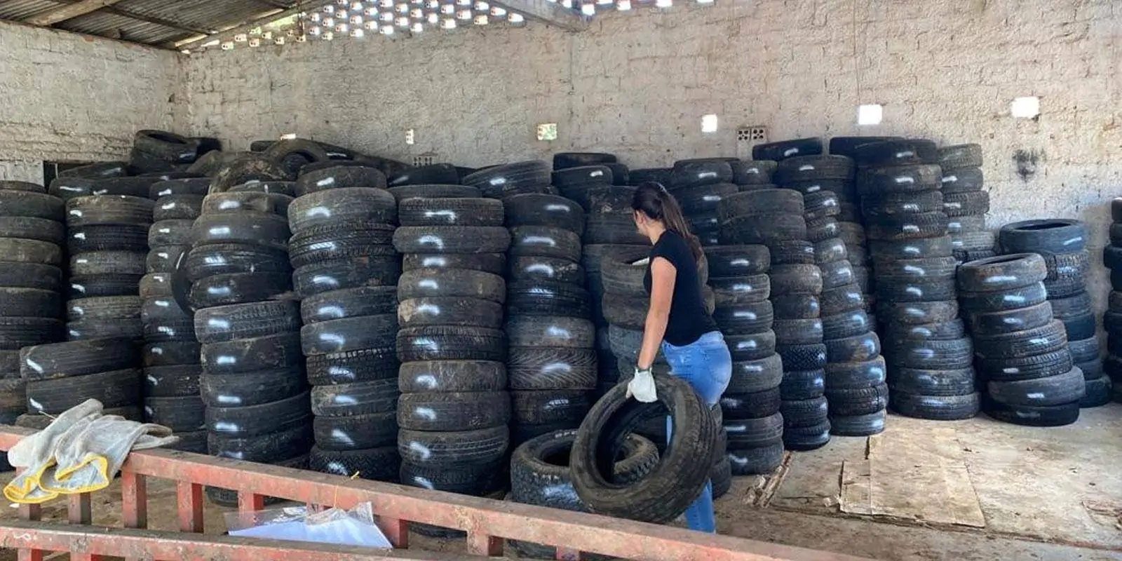 Programa “Penso, Logo Destino” do Instituto do Meio Ambiente fecha 2022 em 88 cidades catarinenses