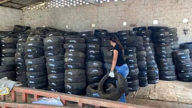 Programa “Penso, Logo Destino” do Instituto do Meio Ambiente fecha 2022 em 88 cidades catarinenses