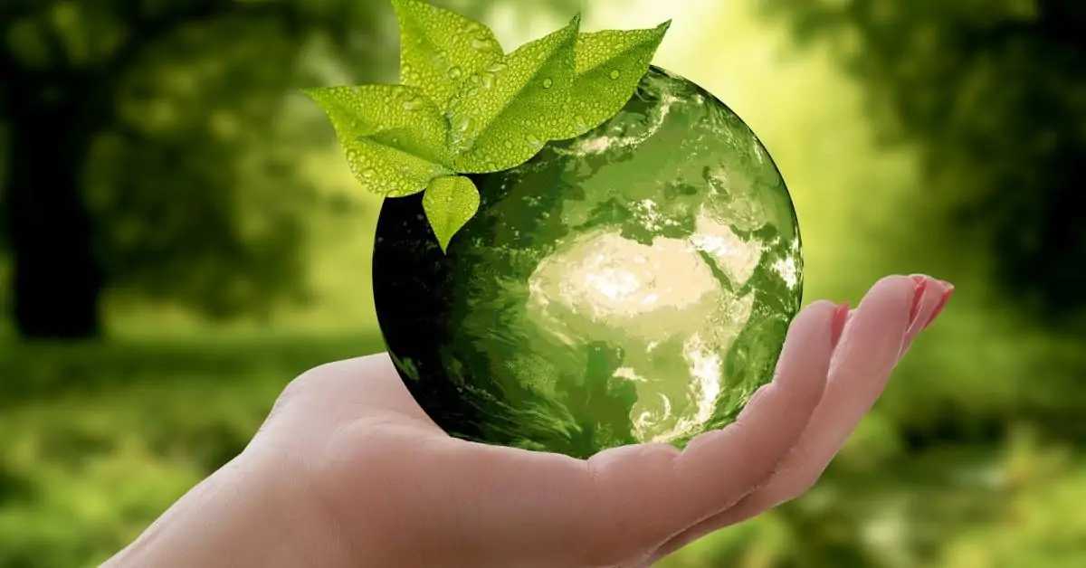 Projetos de reciclagem terão incentivo