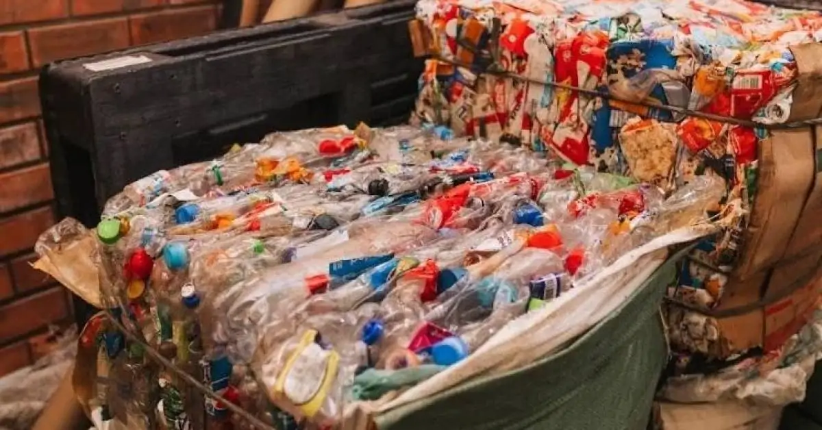 Reciclagem: certificadora de logística reversa transforma mais de 260 mil toneladas de lixo em 2022