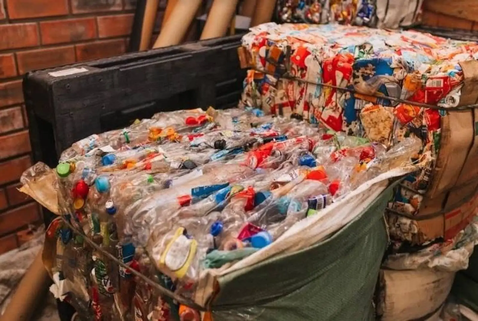 Reciclagem: certificadora de logística reversa transforma mais de 260 mil toneladas de lixo em 2022