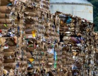 Reciclagem de materiais poderia gerar mais de 40 mil empregos no RJ e renda de mais de R$ 11 bi, aponta relatório da Firjan