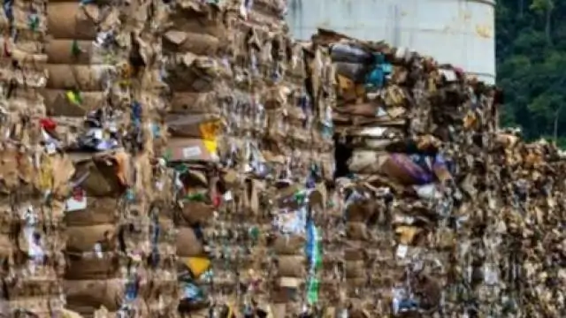 Reciclagem de materiais poderia gerar mais de 40 mil empregos no RJ e renda de mais de R$ 11 bi, aponta relatório da Firjan