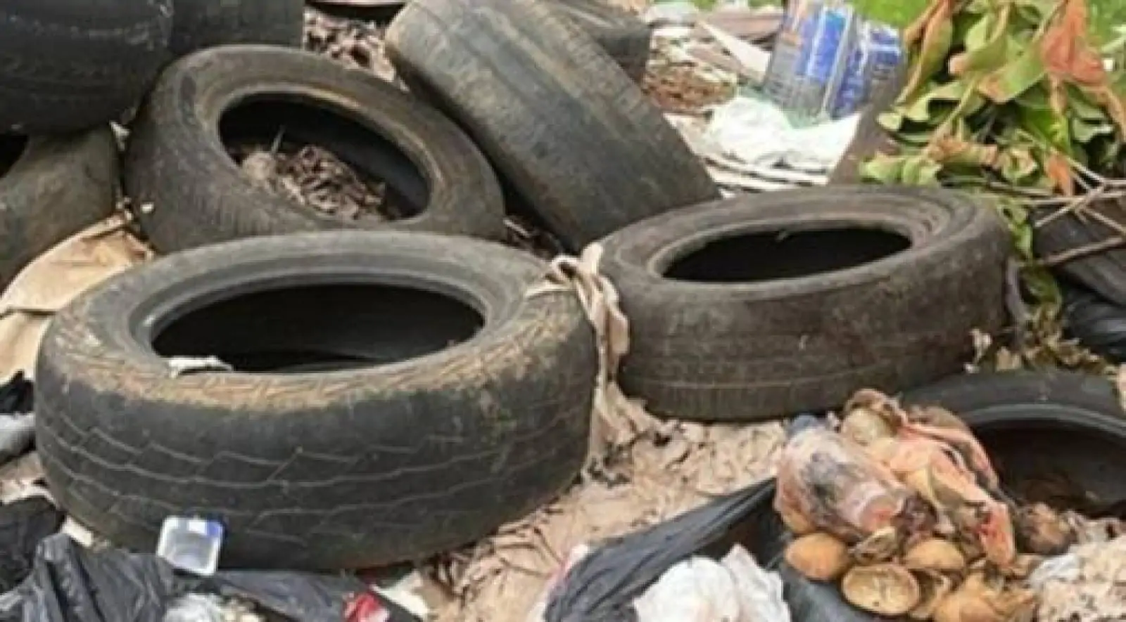 Reciclagem é educação, não milagre