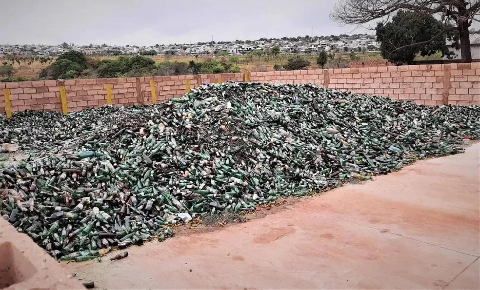 Reciclagem em MS: desafios e soluções que permitiram a reutilização de 50 mil toneladas em dois anos