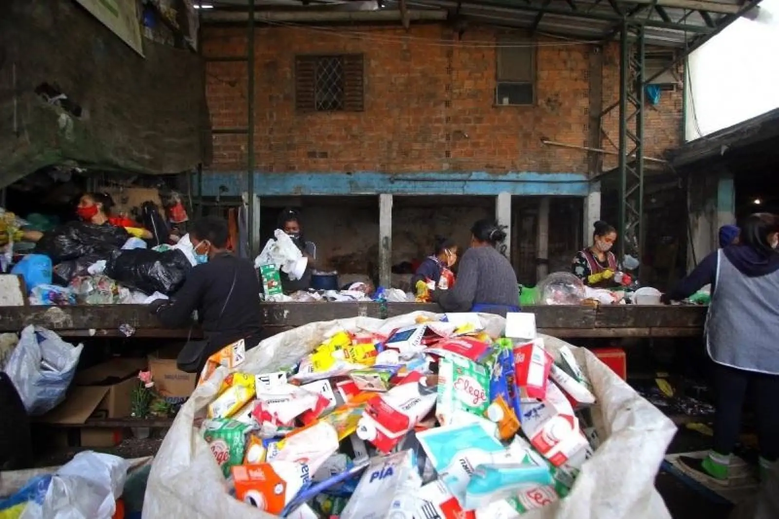 RECICLAGEM Artigo: Fortalecer os catadores é avançar na logística reversa