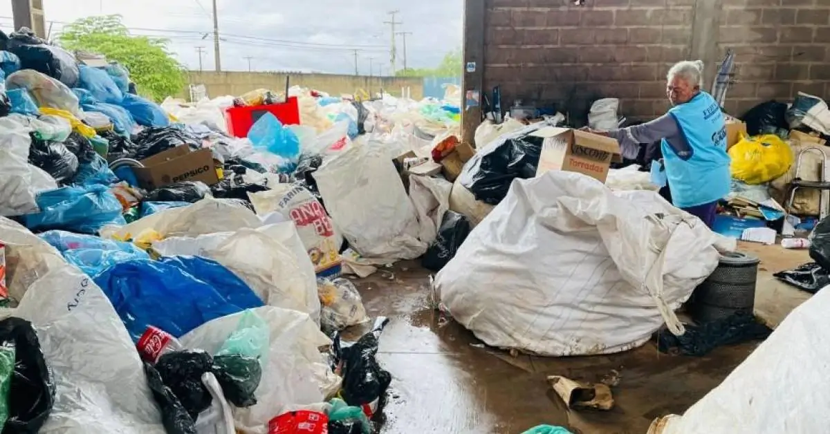 Sabin: reciclagem de resíduos promove inclusão social e contribui para meio ambiente