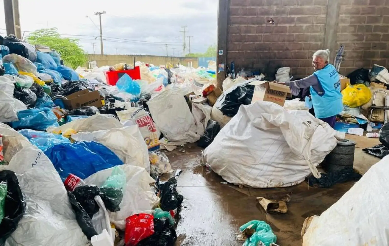 Sabin: reciclagem de resíduos promove inclusão social e contribui para meio ambiente