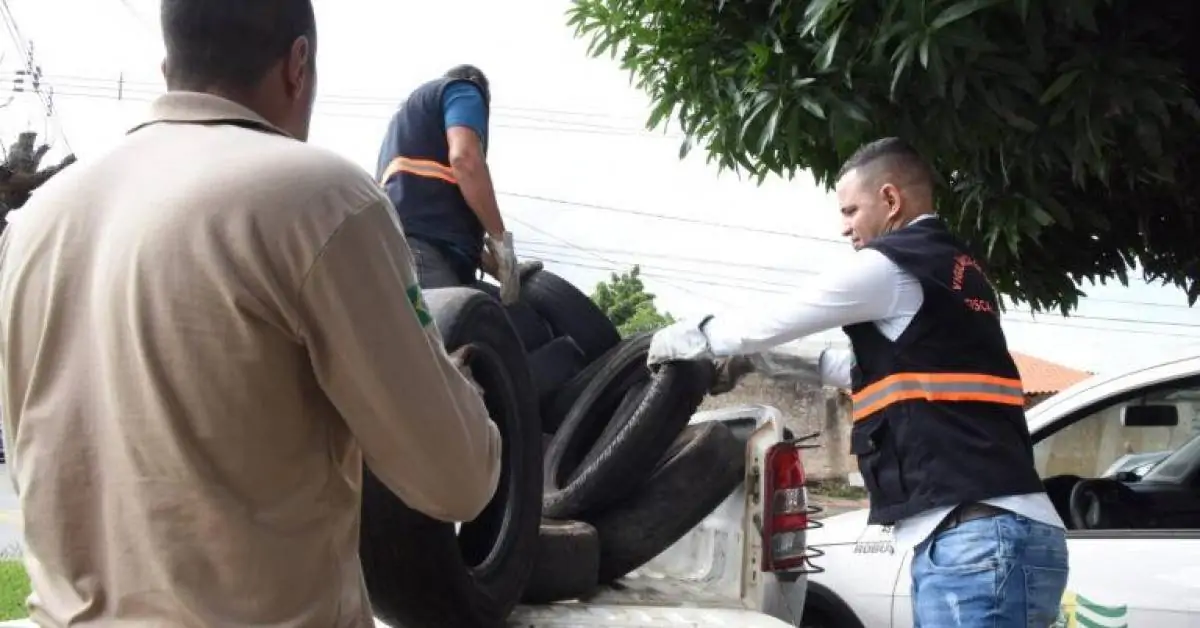 Saúde de Aparecida recolhe 12 mil pneus em 3 dias de mutirão