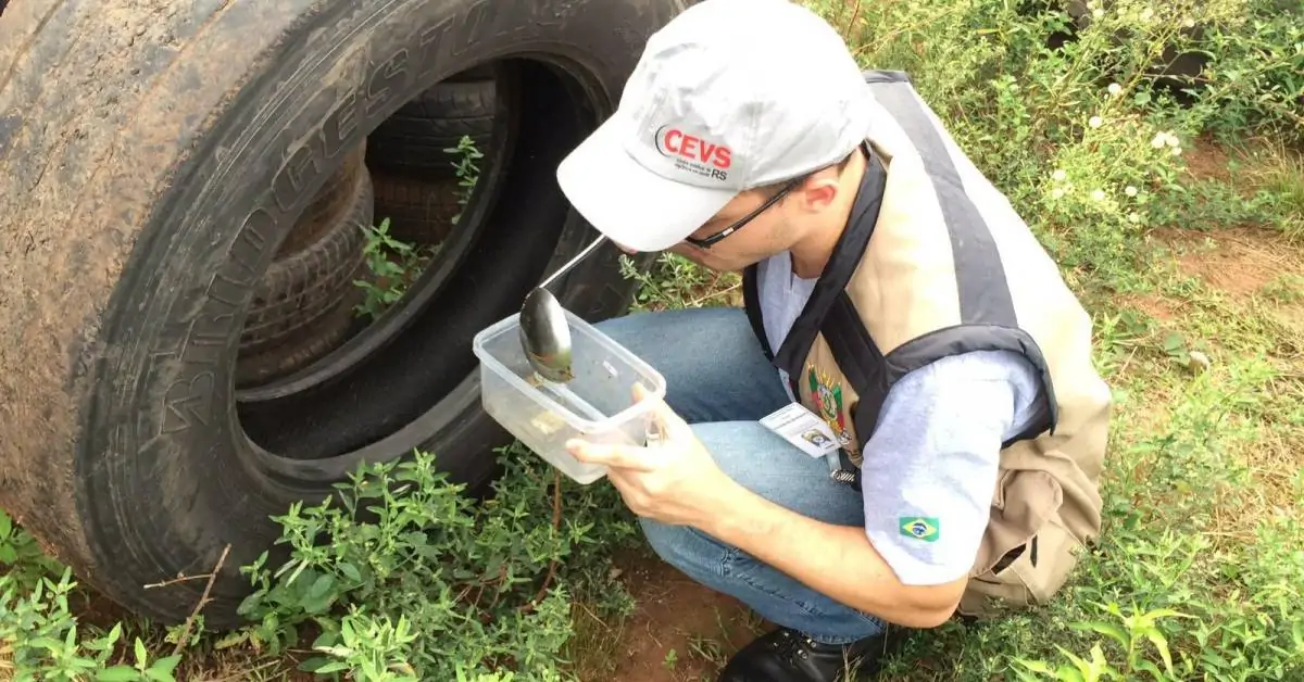 Saúde do Paulista recolhe pneus de borracharias para prevenir focos do Aedes aegypti