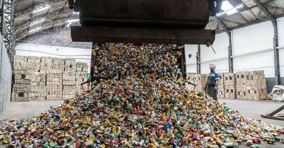 Sustentabilidade: Cooperativas de reciclagem do Recife contam com o interesse de empresas pelo tema