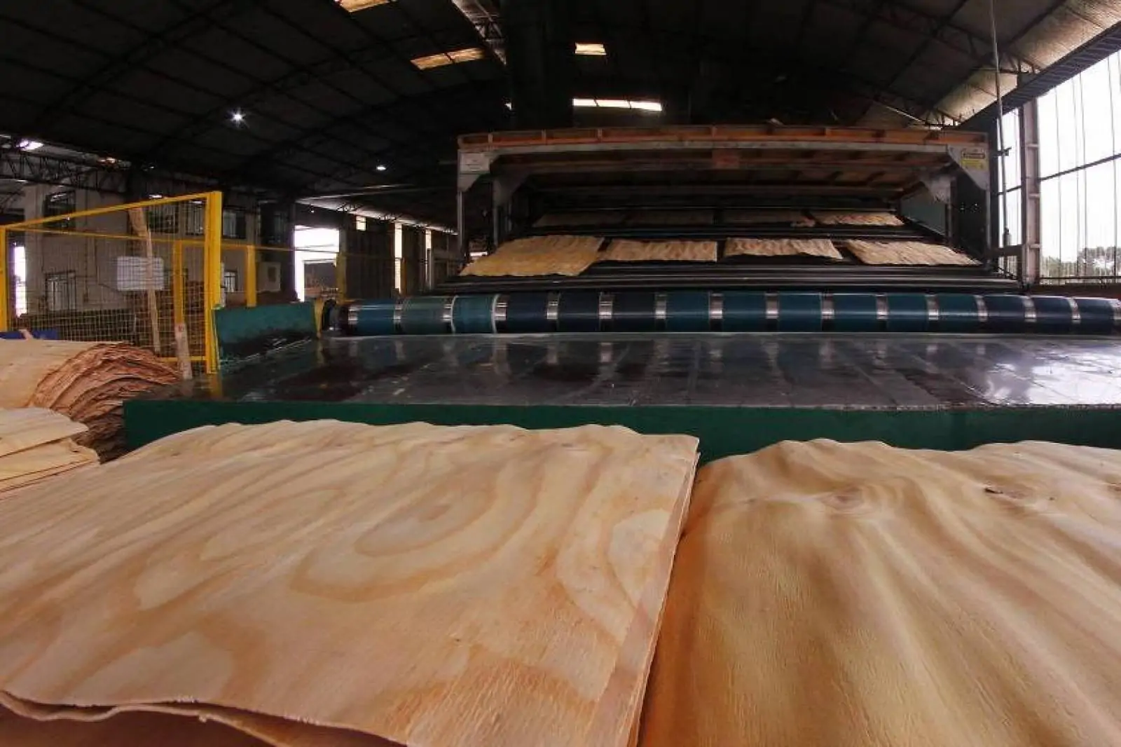 Tarifaço de Trump derruba exportações, e empresas brasileiras recorrem a férias coletivas