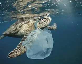 Termina o prazo de adaptação das novas regras federais de logística reversa e uso do plástico reciclado