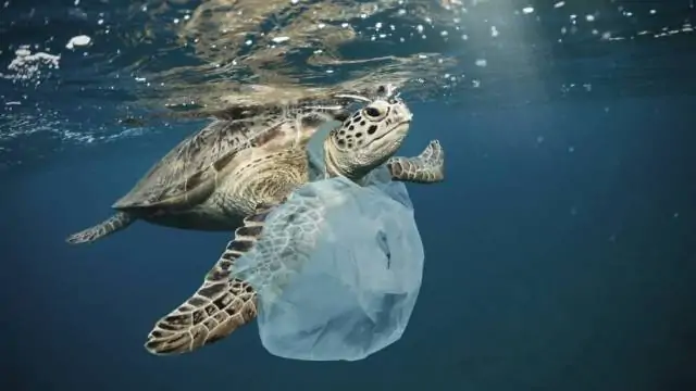 Termina o prazo de adaptação das novas regras federais de logística reversa e uso do plástico reciclado